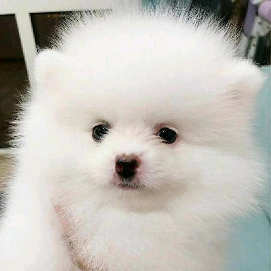 🌈🌈御梦QBR🍎🌰🍊