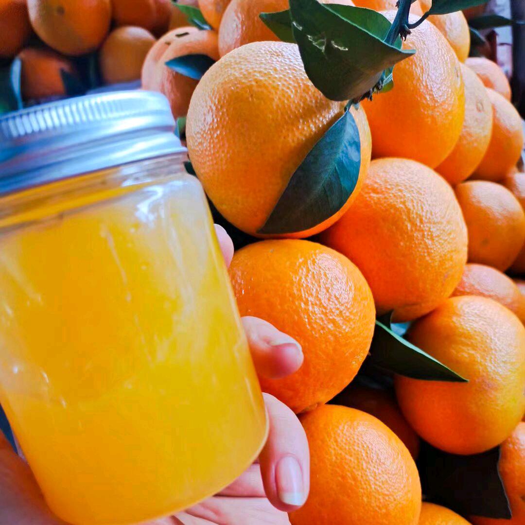 梓潼生态采摘园小虎