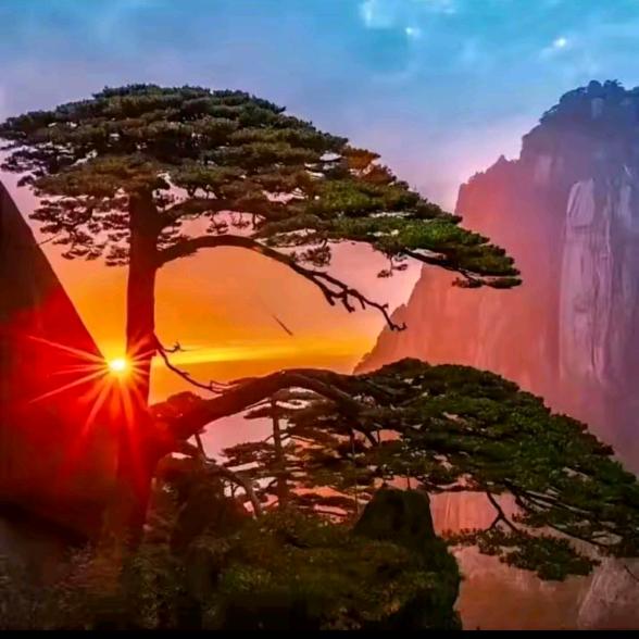 蟋蟀哥(离婚后)