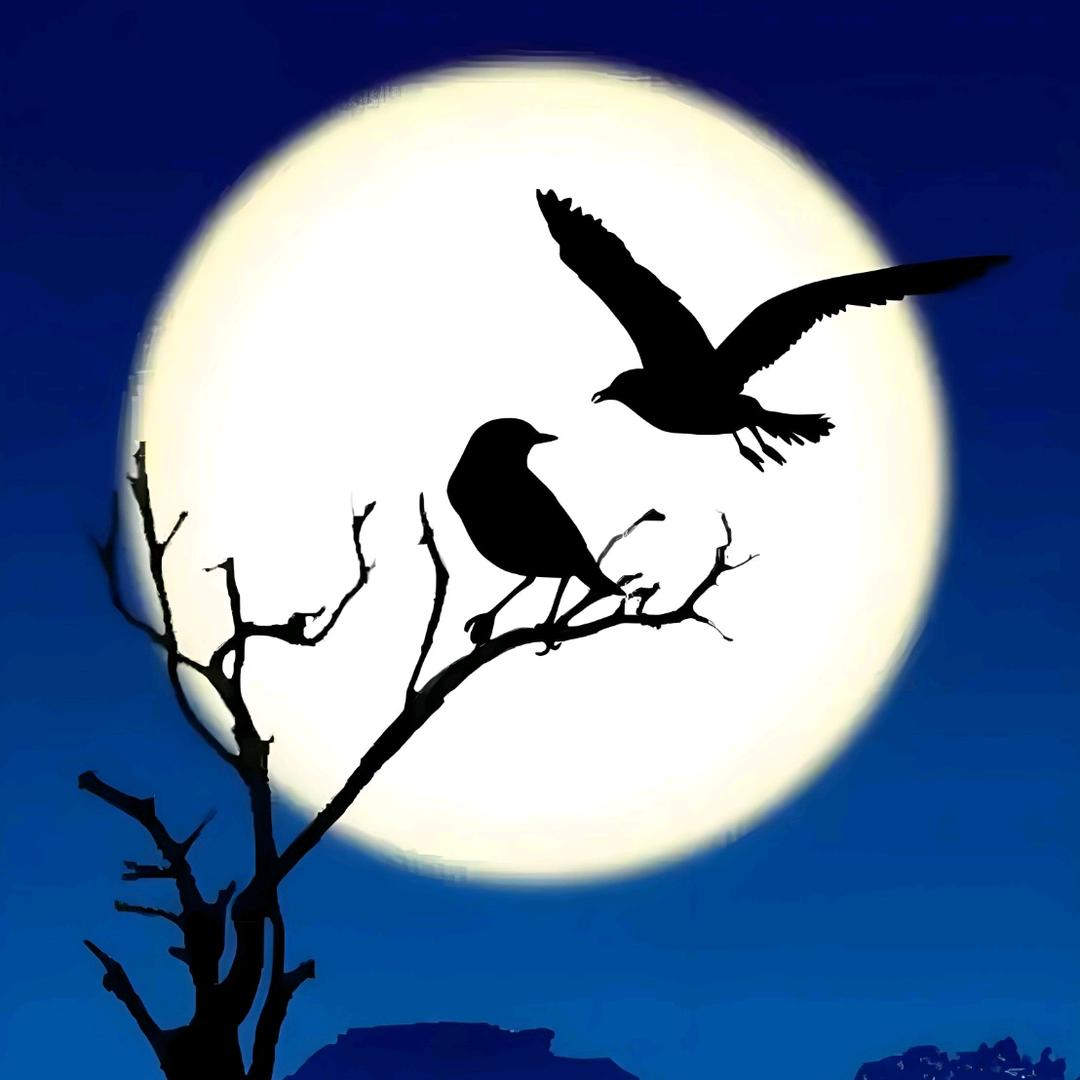 随心所欲Ꭽℯ⃝🌸