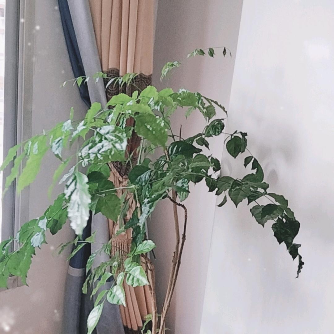 港澳福建