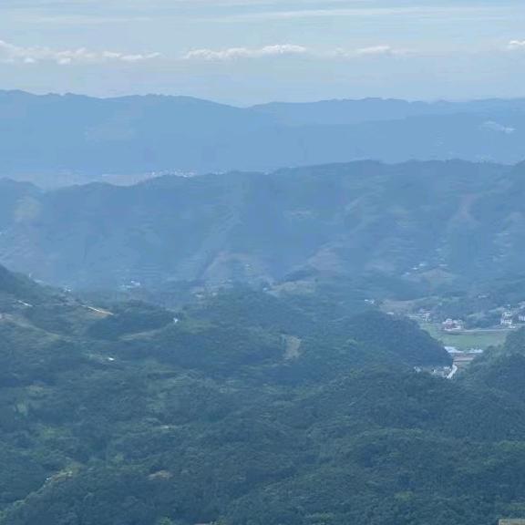 酒仙