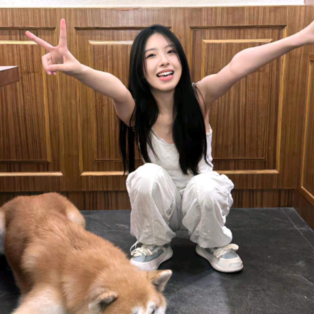 一条喵