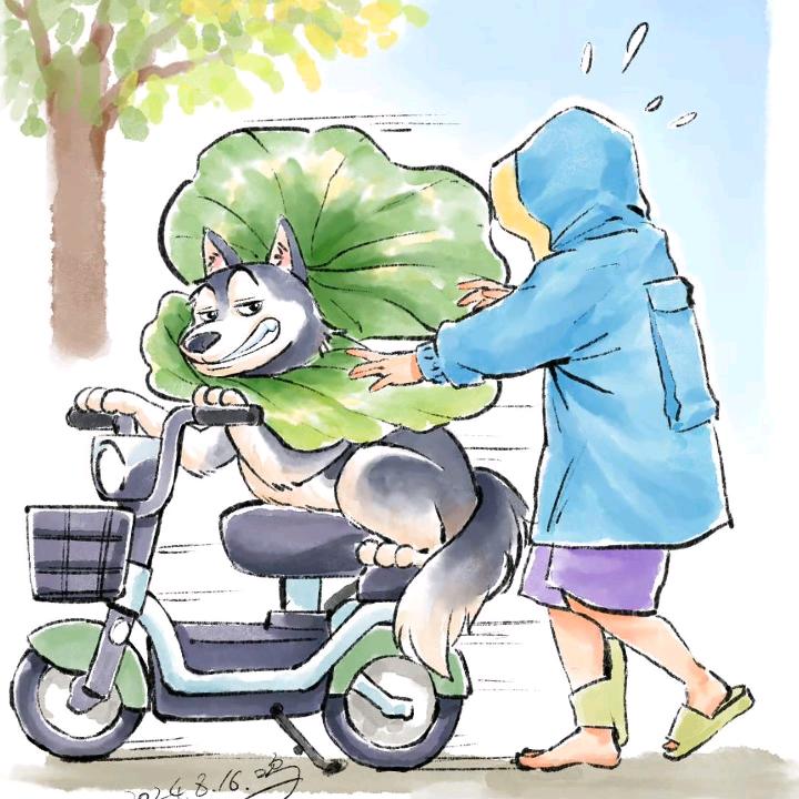 杆桔梗