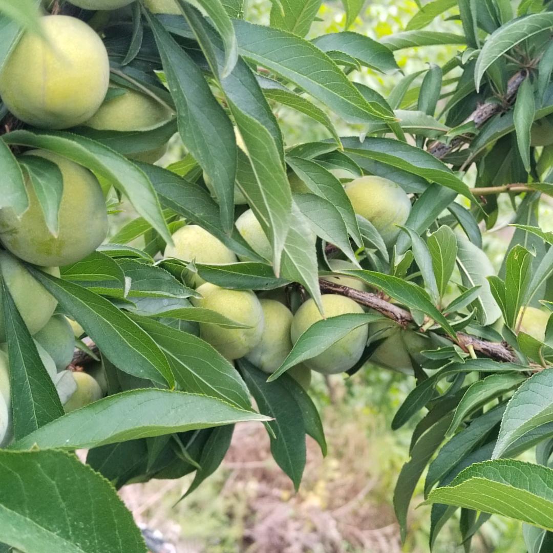 缘来是你
