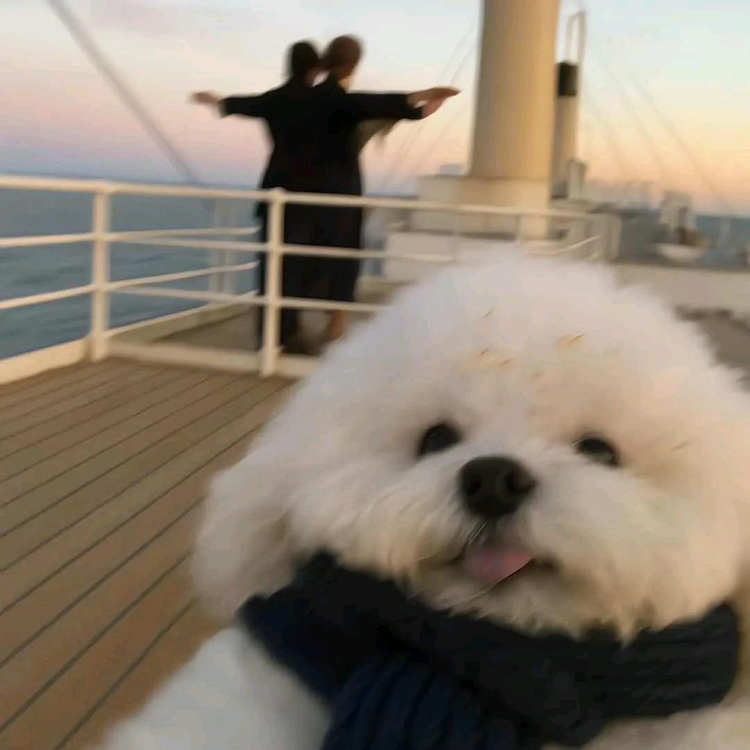 福我音