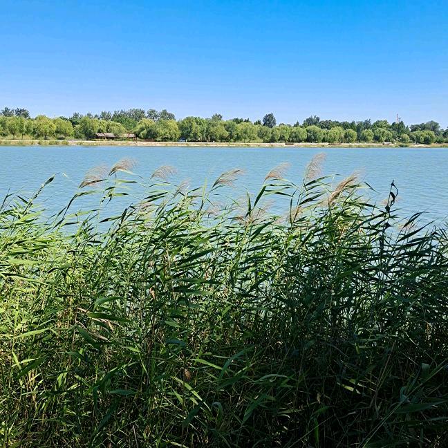 做好自己一切随缘