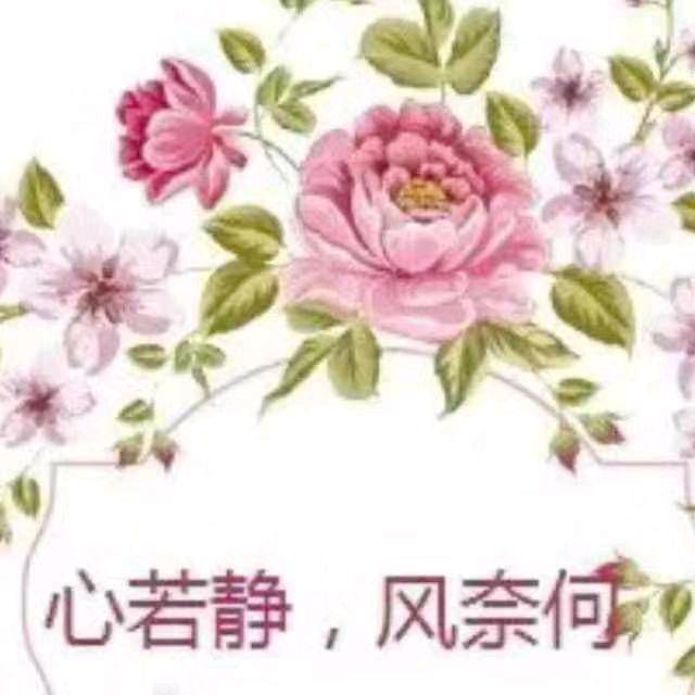 珍珠草