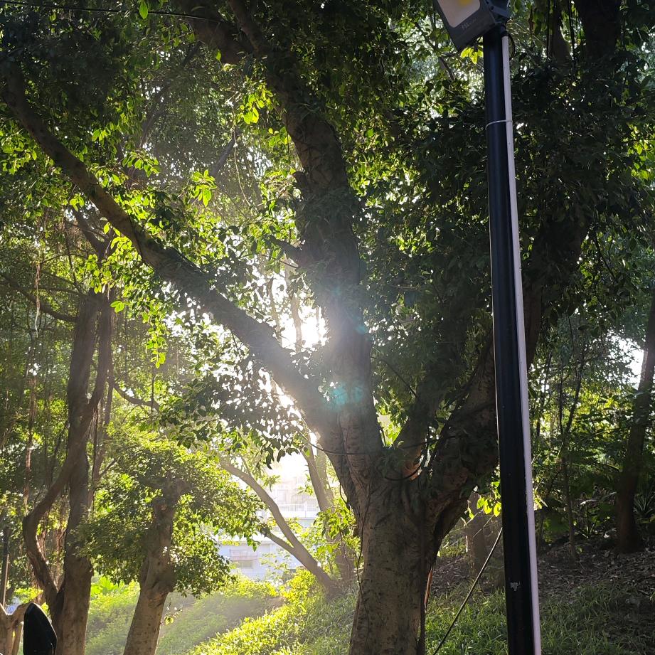 没什么大不了，