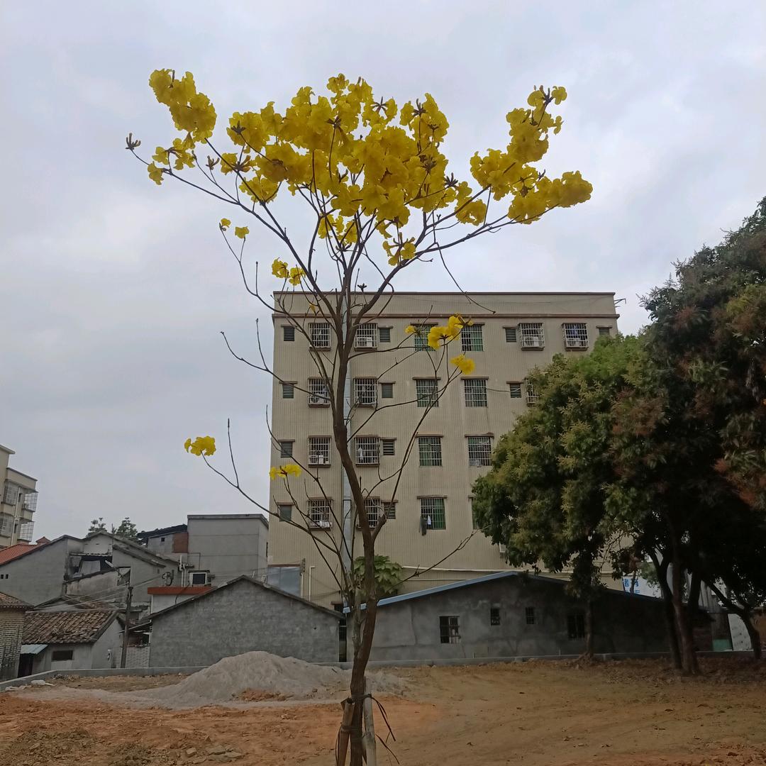 累了谁疼