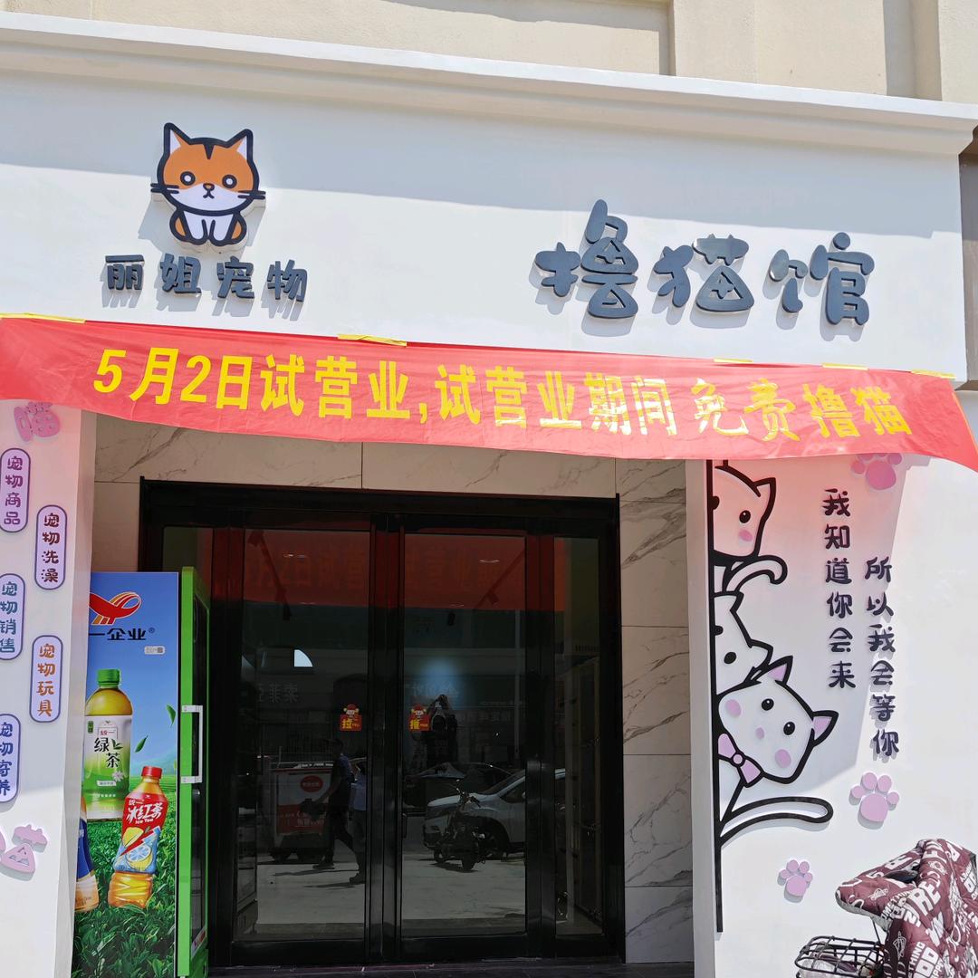 丽姐撸猫馆