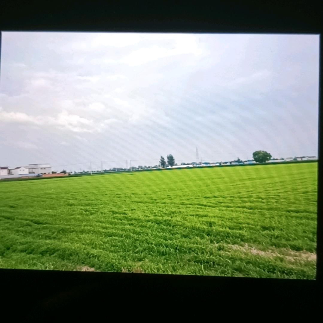 四个宝宝奶奶