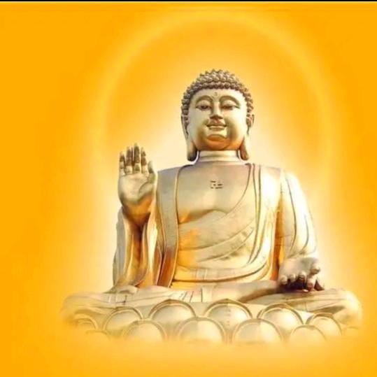来、来看剧