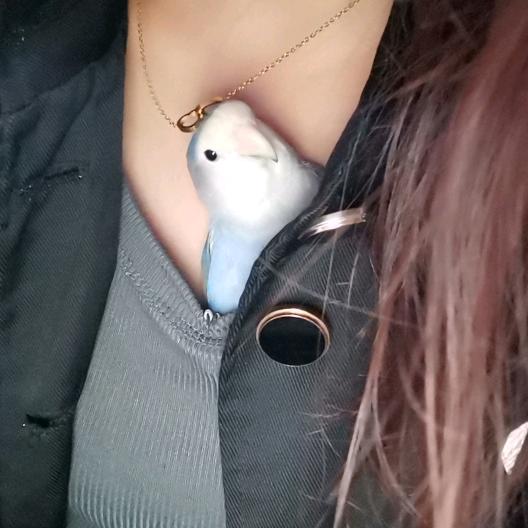 一颗红豆💘