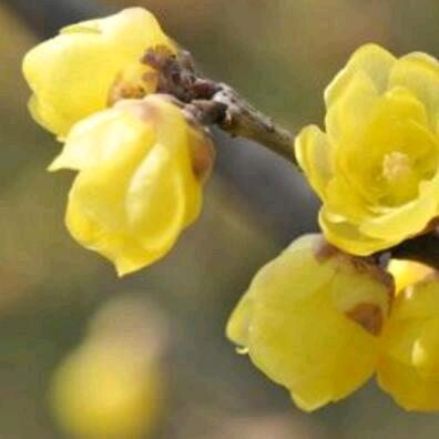 蓝天白云   拒绝私聊