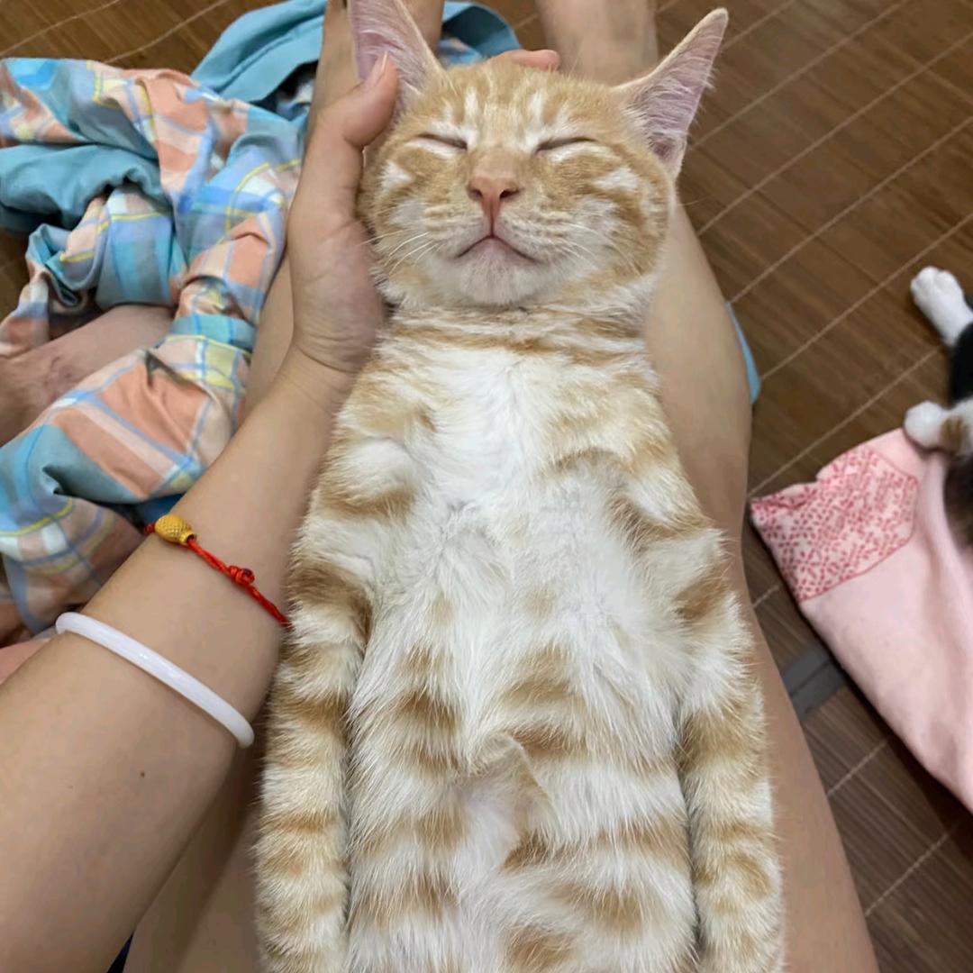 北海到底有谁在