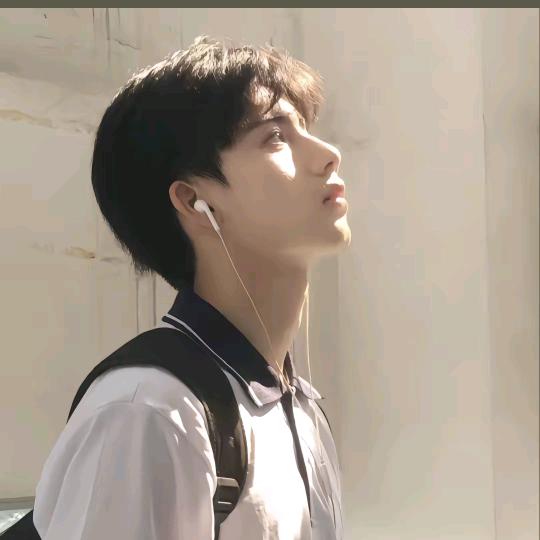 🍀演唱会音乐节团购