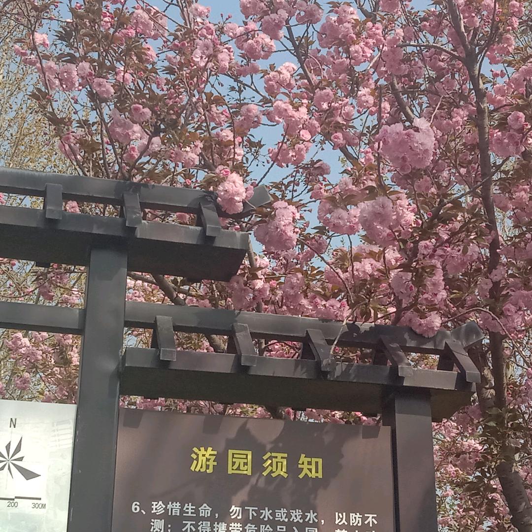 这么近那么美，周末到河北