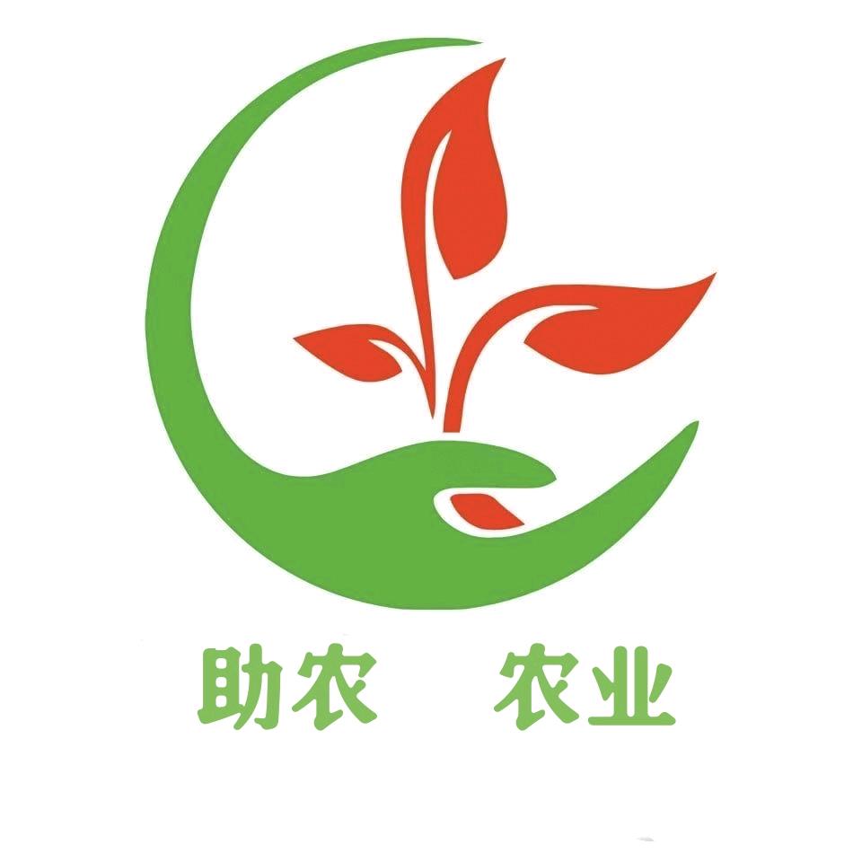 王姐爱种植