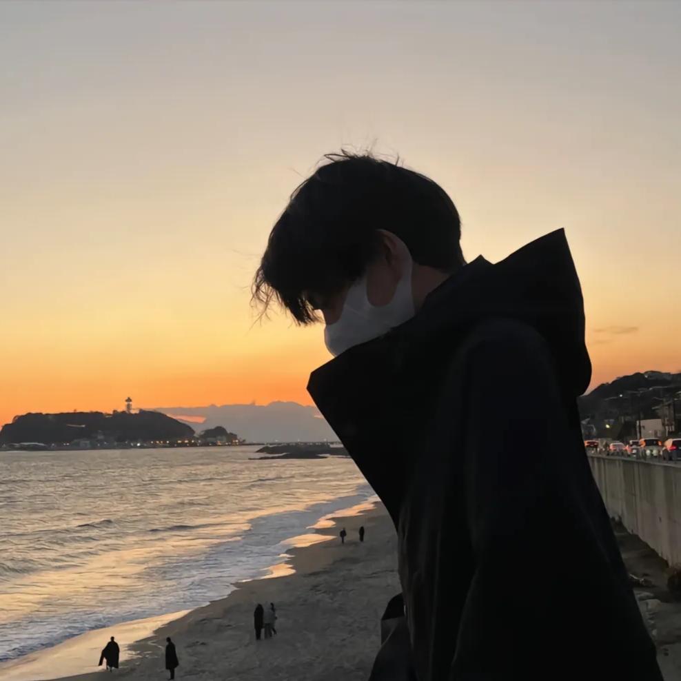 史迪崽