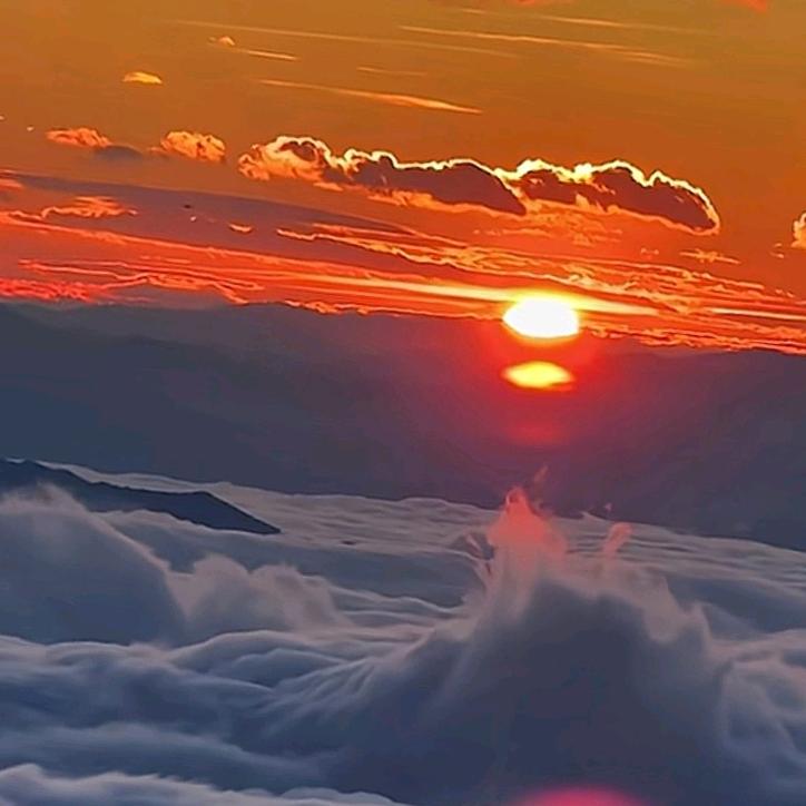 落叶飞花，情归何处。