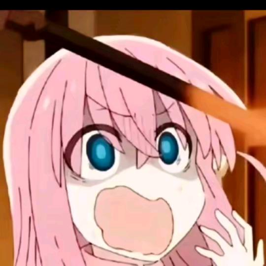 波奇