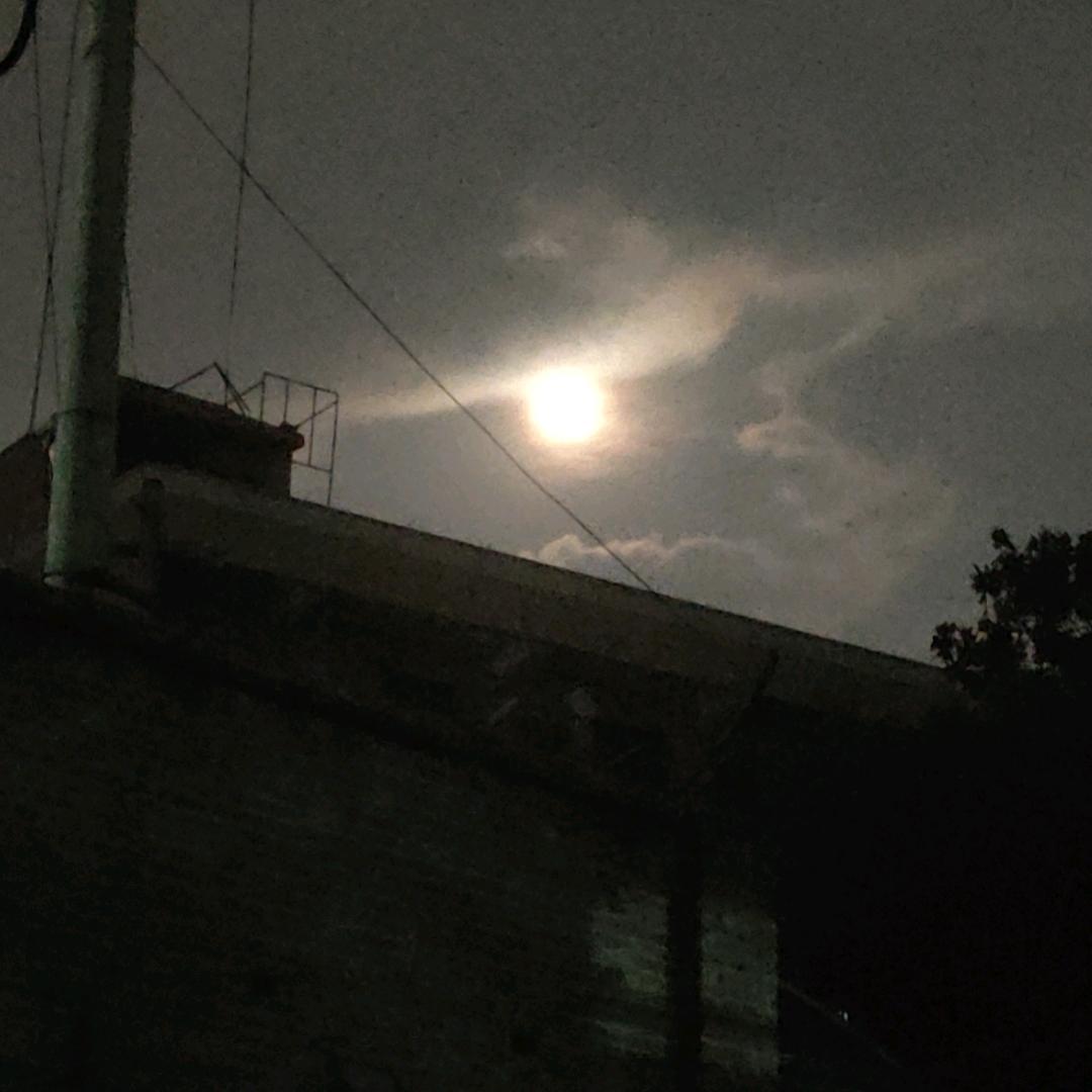。情