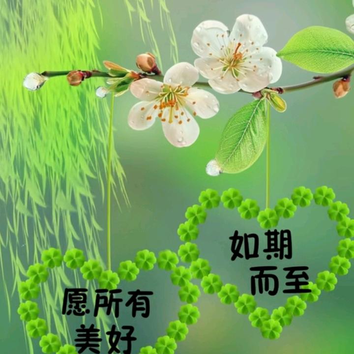 落雪无声