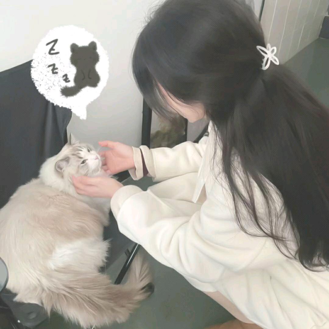 浦东新区的凌兄头像