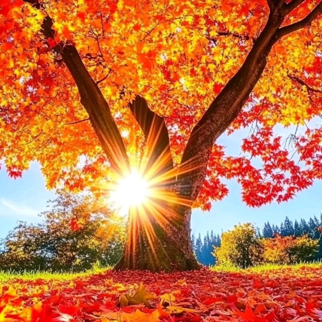 赫嘟童装工厂店