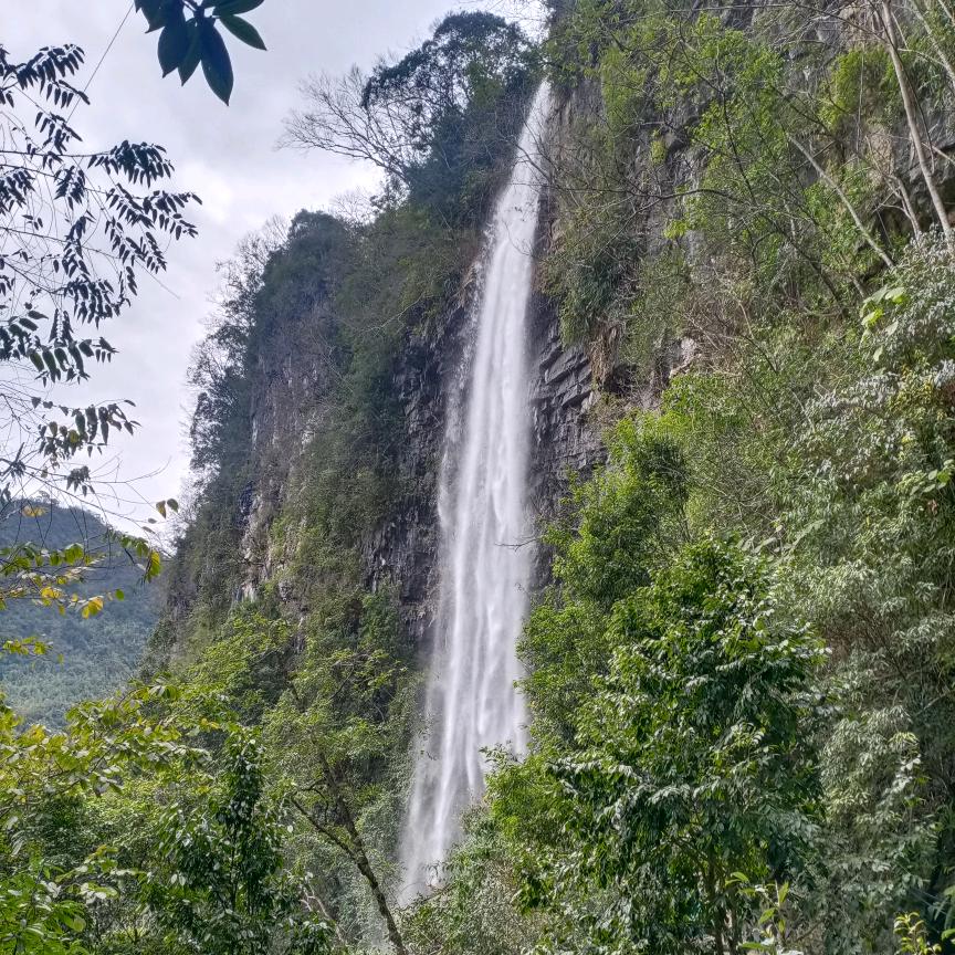 《小费》优选