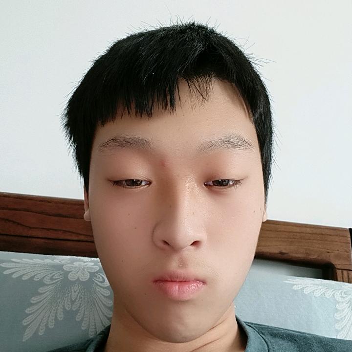 翟振杰