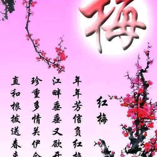 海江加固