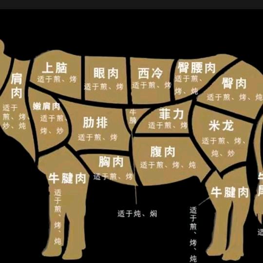 小潘牛羊肉批发