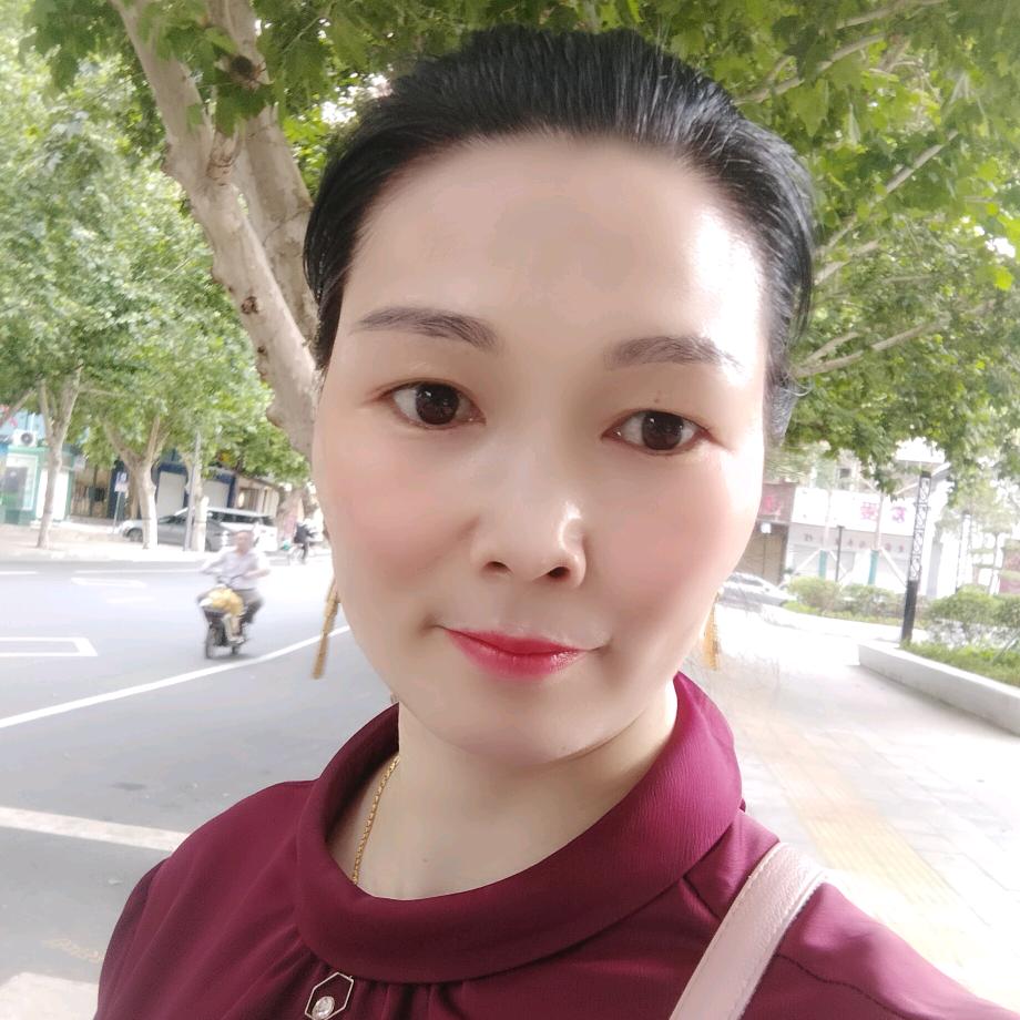 叶县二手房梅子