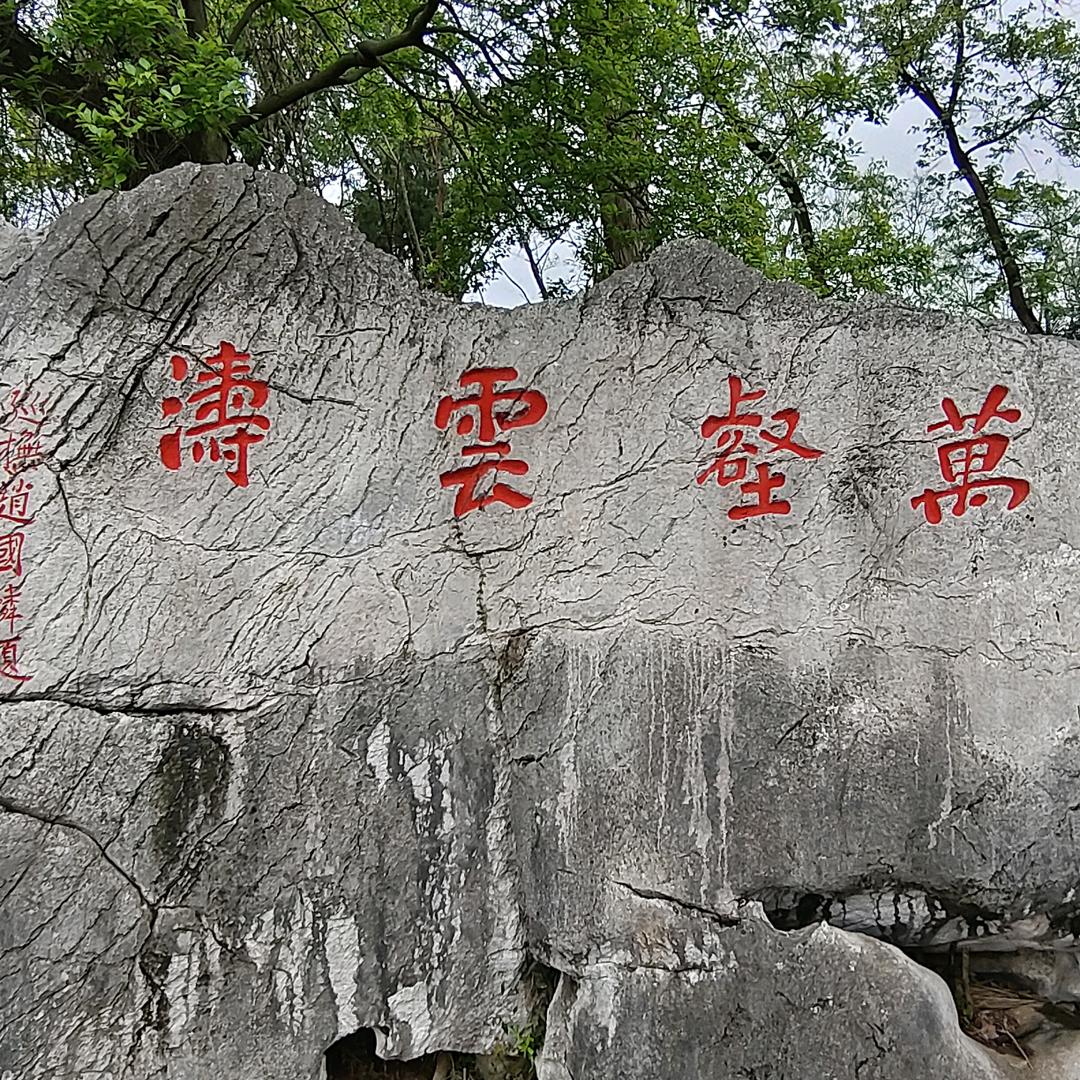 孙女士