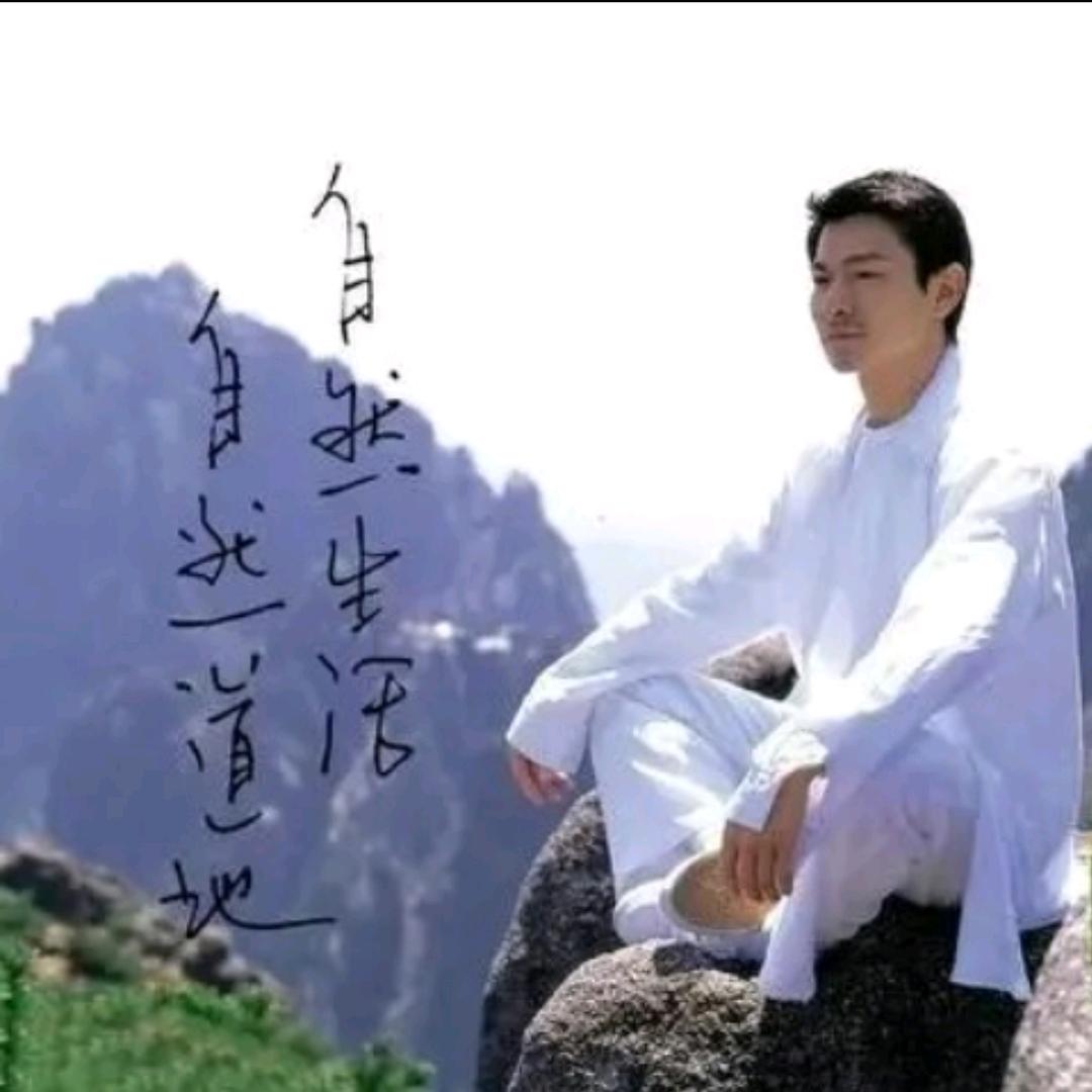观影听涛🎬