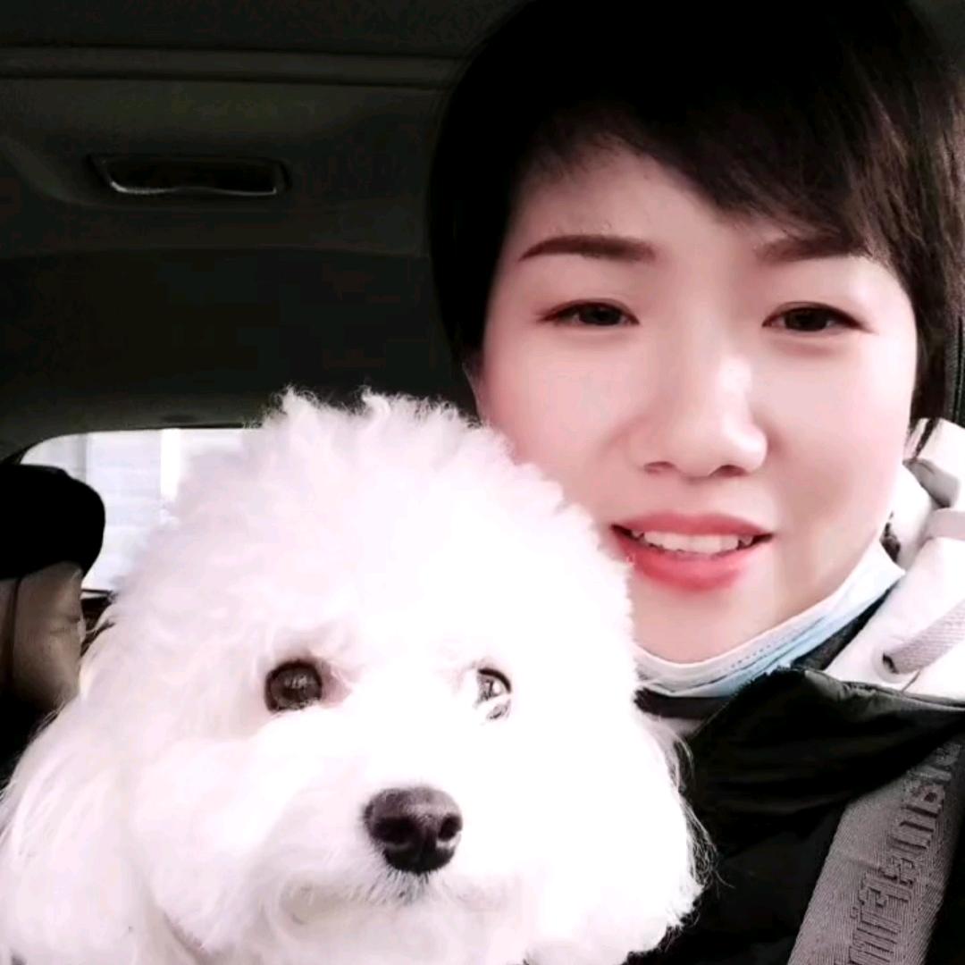 反骨小熊熊