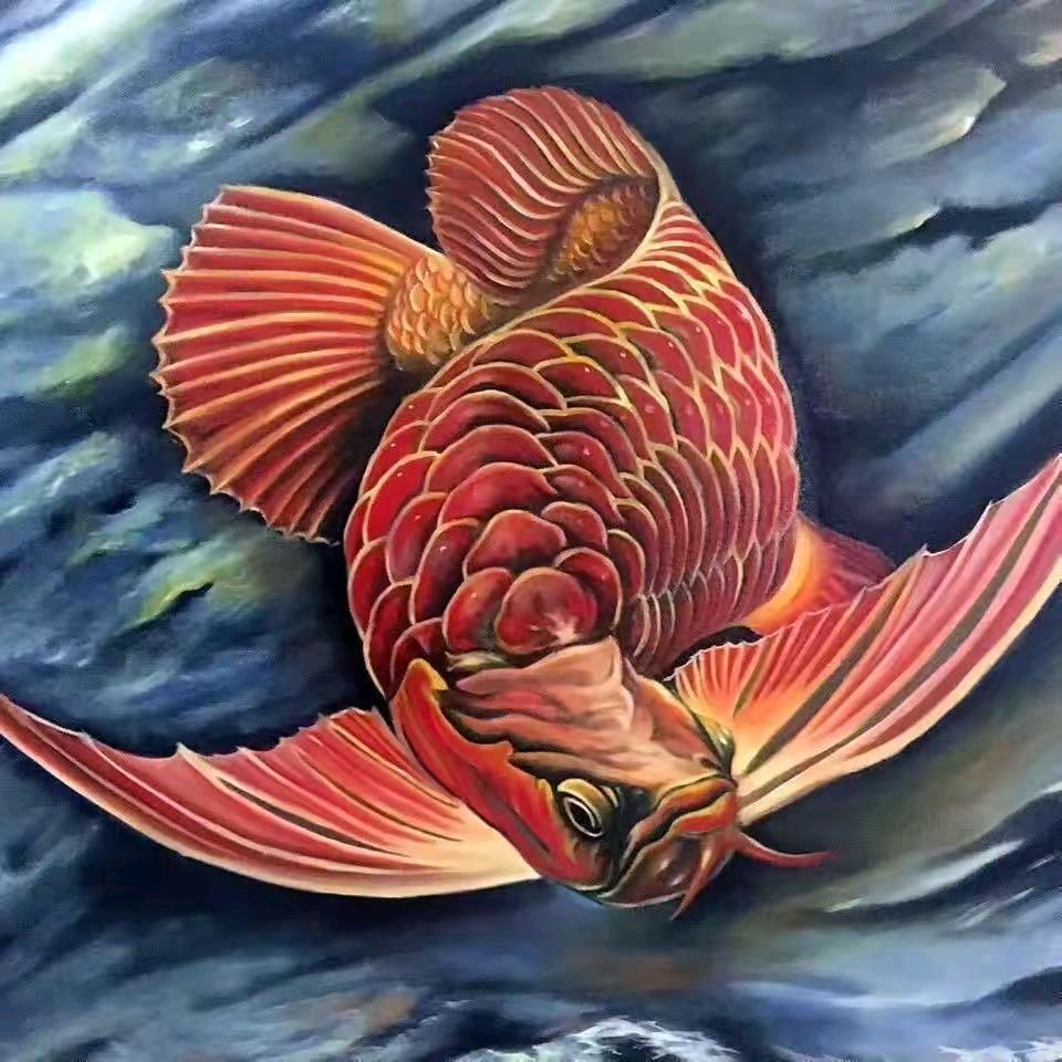 康泰龍鱼甄选