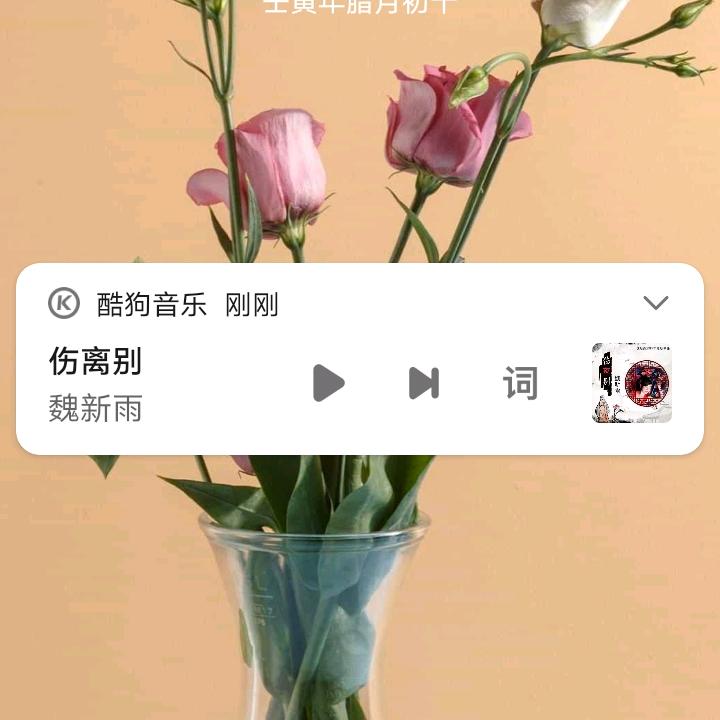 人生苦短活好当下