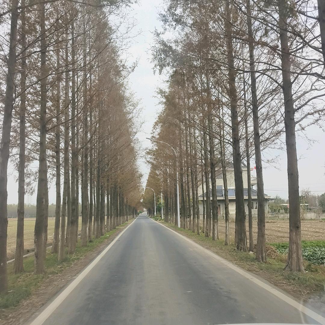合肥颜恺薪追机械科技有限公司jk
