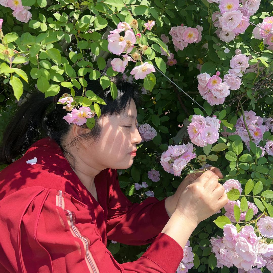 张菲