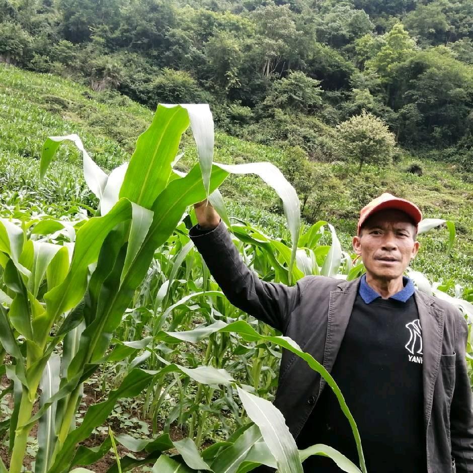 梦男