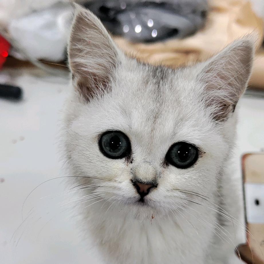 一个爱自驾的小刘