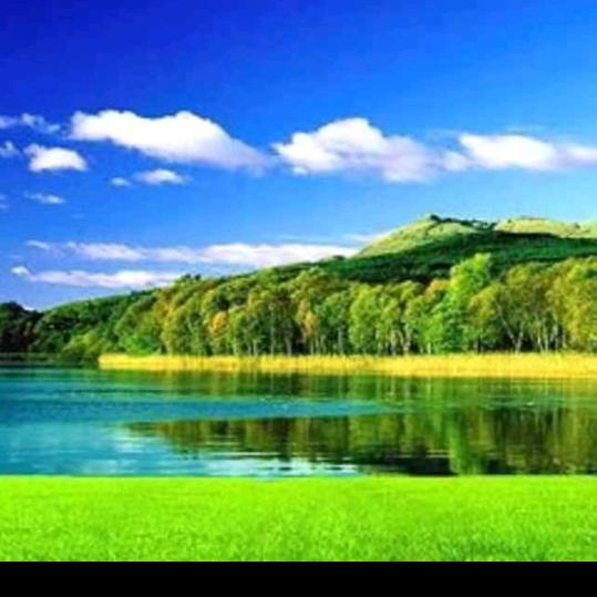 同来全调理馆官方号