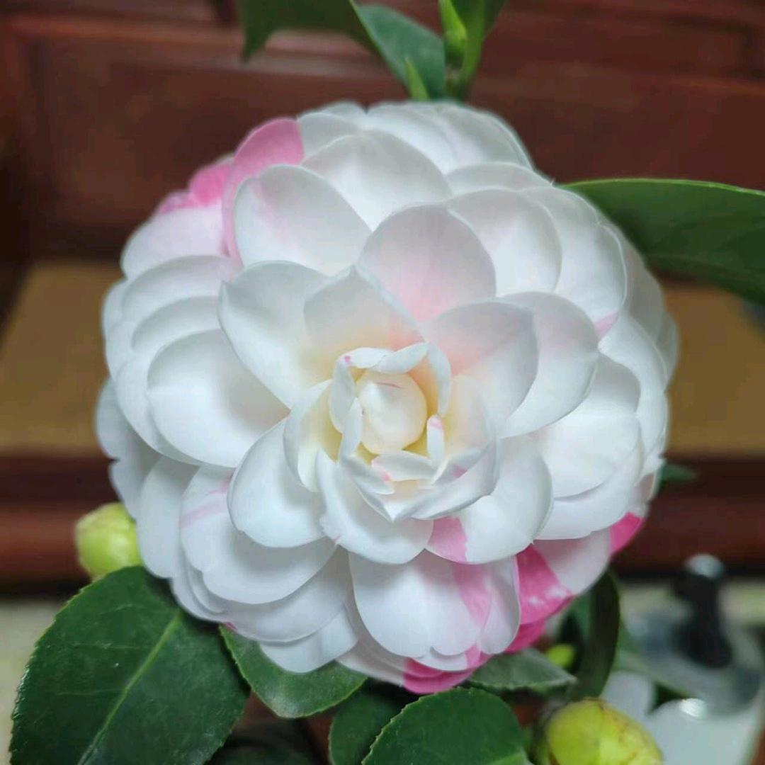 永福万嘉园艺场