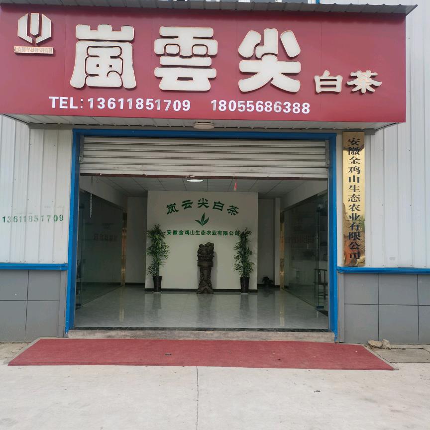 岚云尖白茶 南征北战