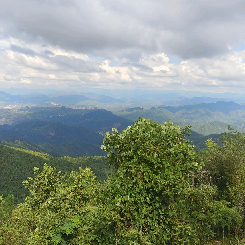 手机用户53882061553