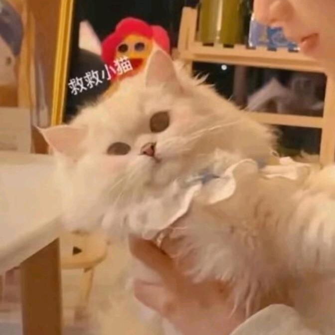 哥哥