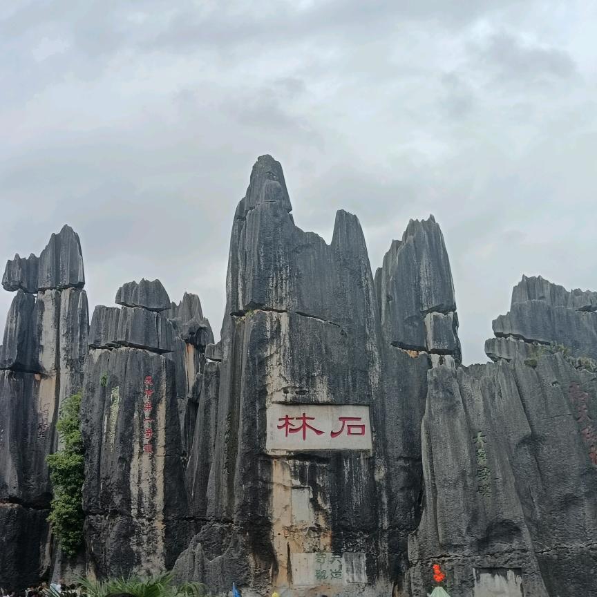 ⚙河北希哲机械⚙